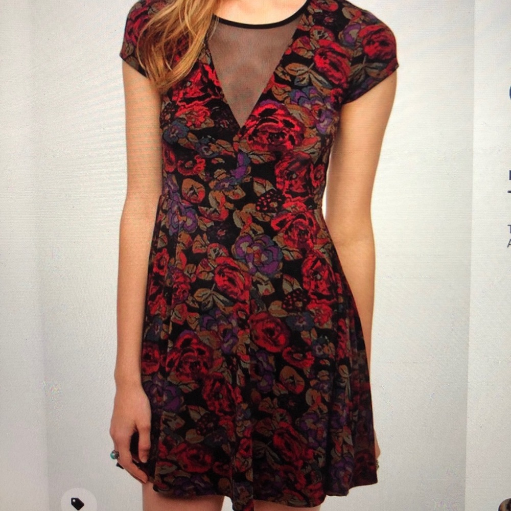 Kimchi Blue (UO) Floral Black Mesh Skater Dress